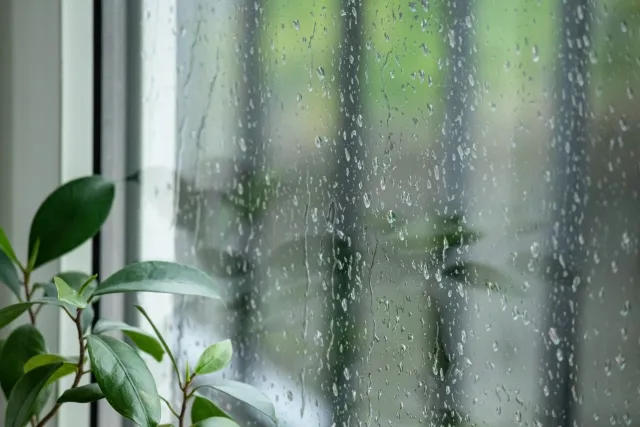 雨の日こそ集客のチャンス！？梅雨に向けて準備したい受注の『仕掛け』
